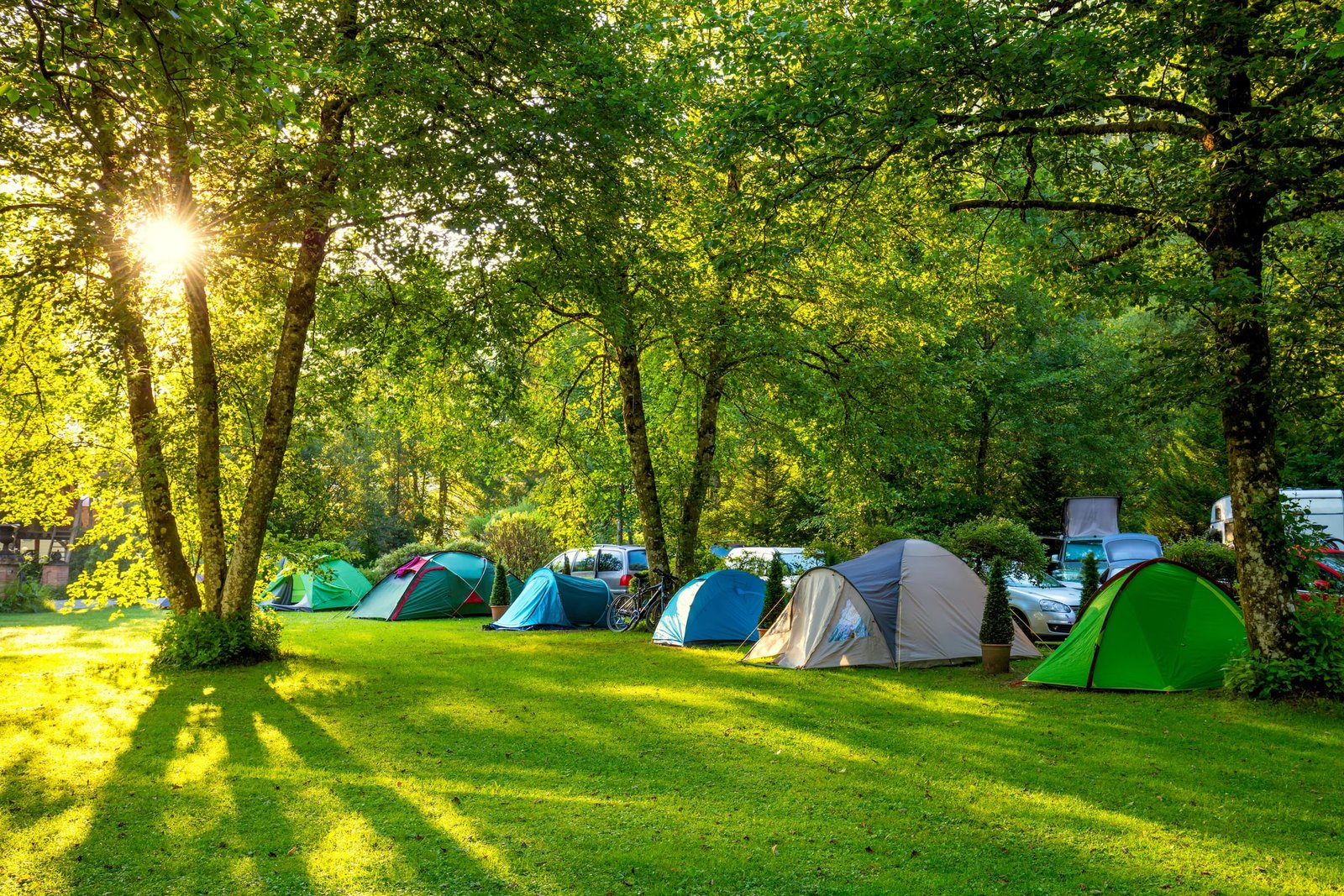 Artículos de Camping